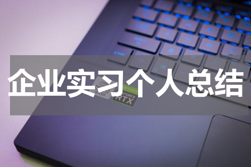 企业实习个人总结