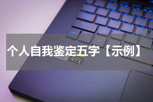 个人自我鉴定五字【示例】