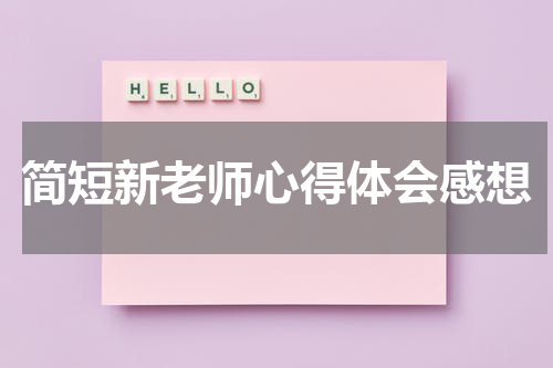 简短新老师心得体会感想