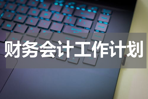 财务会计工作计划