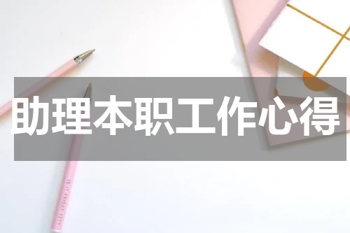助理本职工作心得