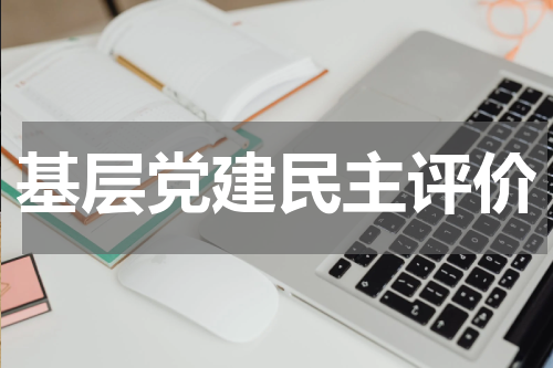 基层党建民主评价