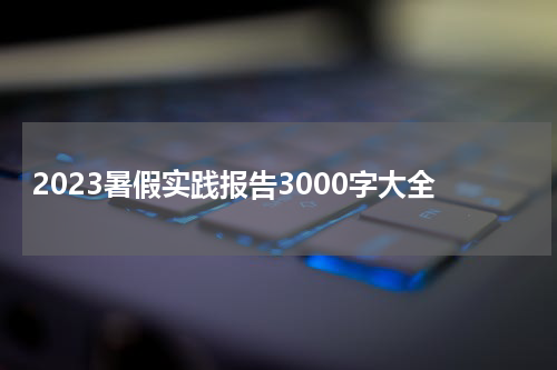 2023暑假实践报告3000字大全