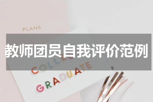 教师团员自我评价范例
