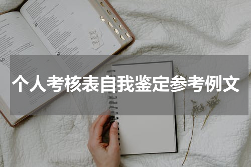 个人考核表自我鉴定参考例文