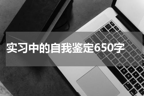 实习中的自我鉴定650字