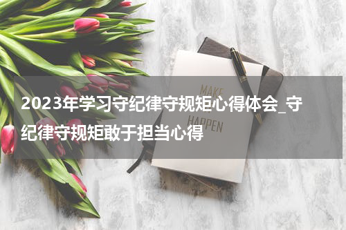 2023年学习守纪律守规矩心得体会_守纪律守规矩敢于担当心得