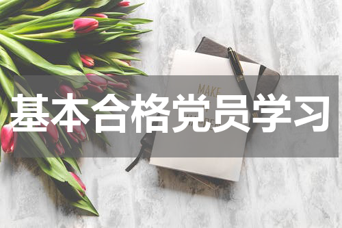 基本合格党员学习