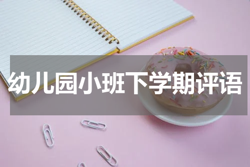 幼儿园小班下学期评语