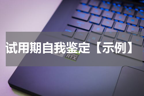 试用期自我鉴定【示例】