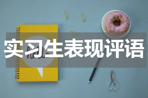 实习生表现评语