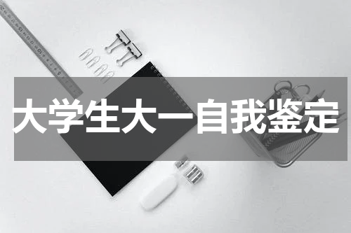 大学生大一自我鉴定