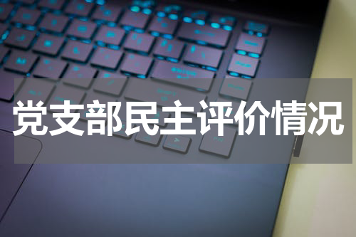 党支部民主评价情况