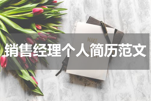 销售经理个人简历范文