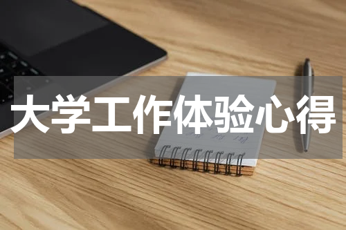 大学工作体验心得