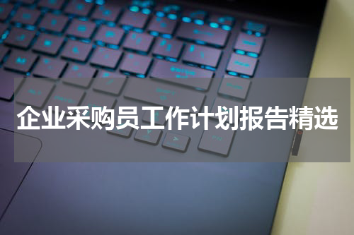 企业采购员工作计划报告精选