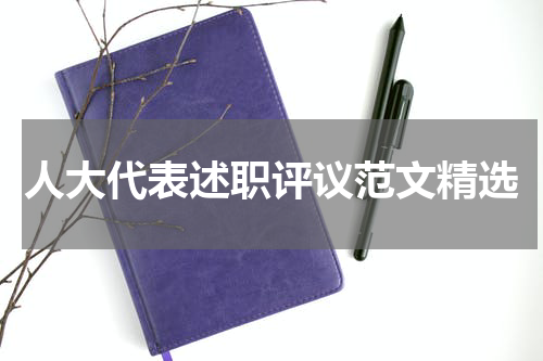 人大代表述职评议范文精选