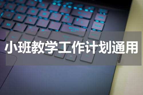小班教学工作计划通用