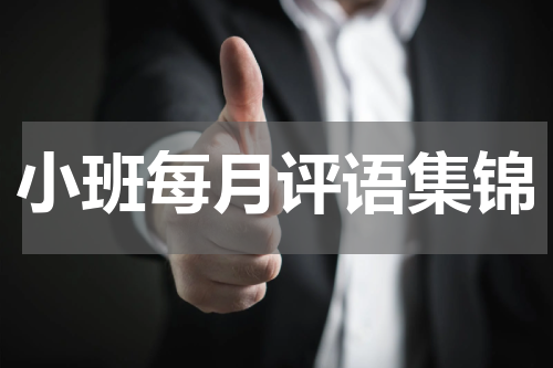 小班每月评语集锦