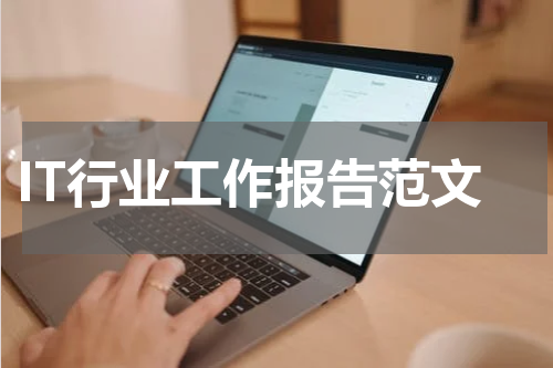 IT行业工作报告范文