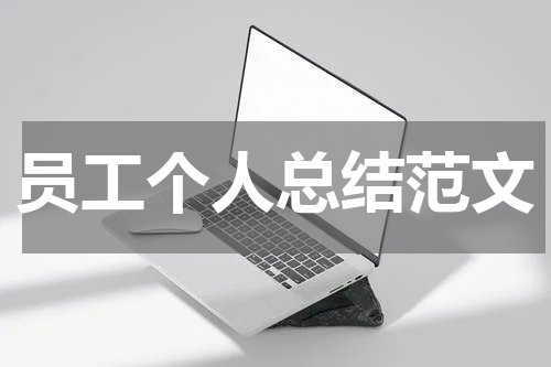 员工个人总结范文