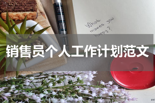 销售员个人工作计划范文