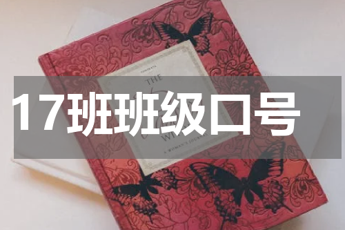 17班班级口号