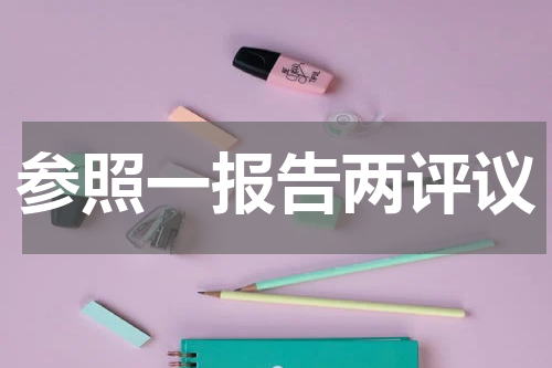 参照一报告两评议