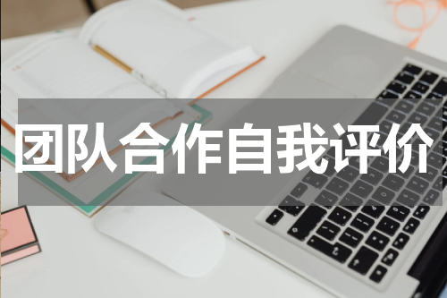团队合作自我评价