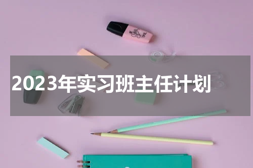2023年实习班主任计划