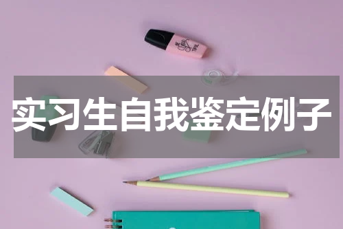 实习生自我鉴定例子