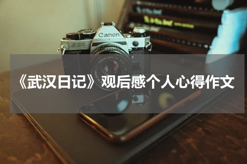 《武汉日记》观后感个人心得作文