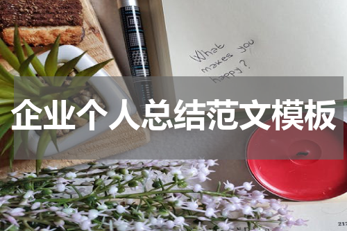 企业个人总结范文模板