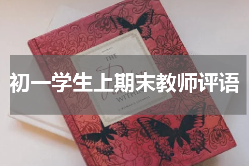初一学生上期末教师评语