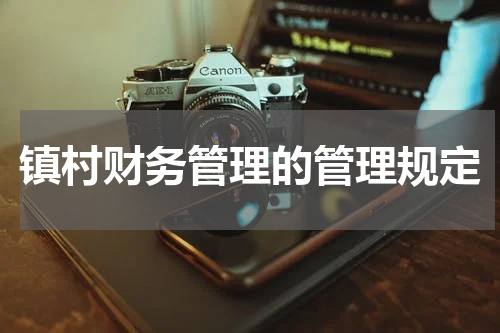 镇村财务管理的管理规定