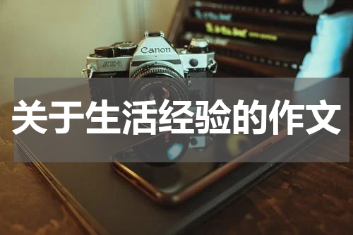 关于生活经验的作文