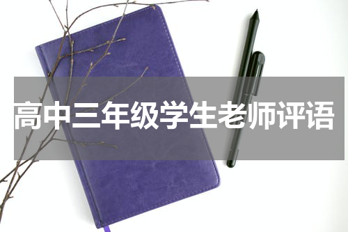 高中三年级学生老师评语