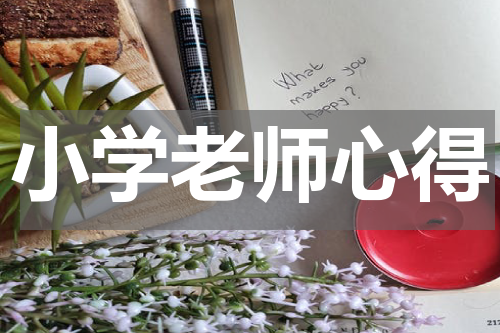 小学老师心得