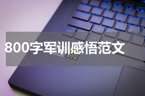 800字军训感悟范文