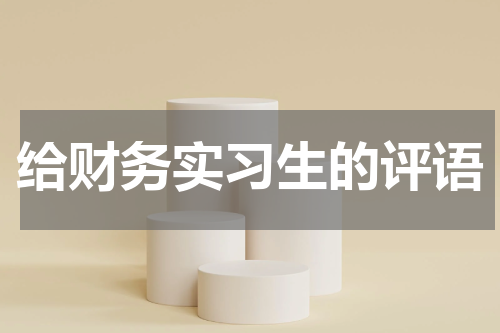 给财务实习生的评语