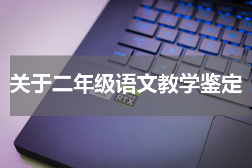关于二年级语文教学鉴定