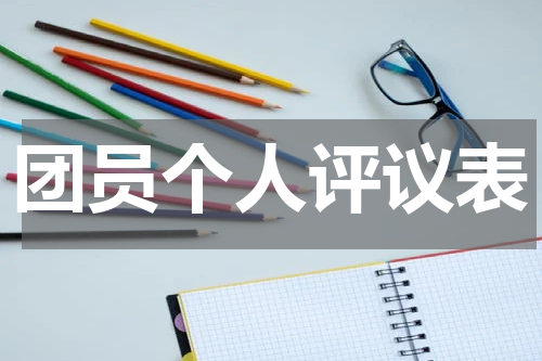 团员个人评议表