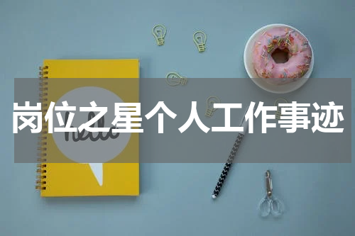 岗位之星个人工作事迹