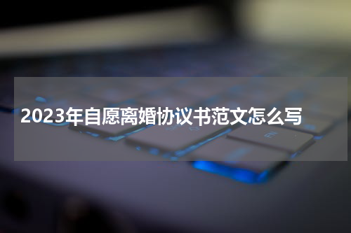 2023年自愿离婚协议书范文怎么写