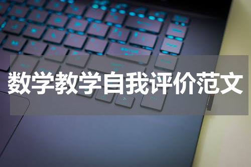 数学教学自我评价范文