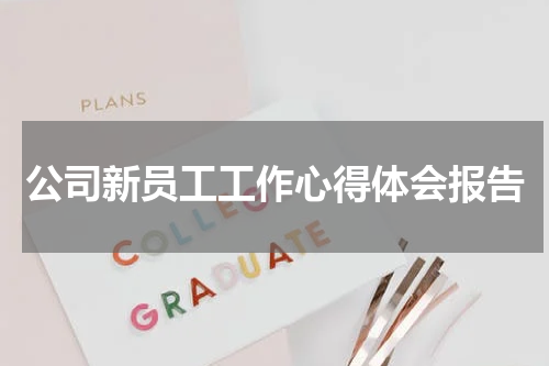 公司新员工工作心得体会报告