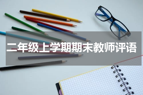 二年级上学期期末教师评语