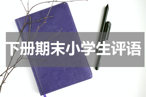 下册期末小学生评语