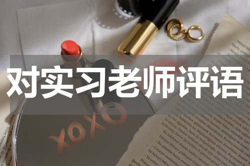 对实习老师评语