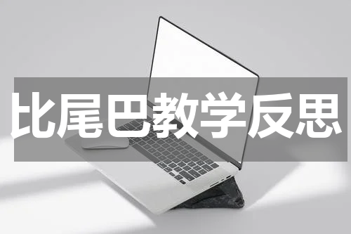 比尾巴教学反思